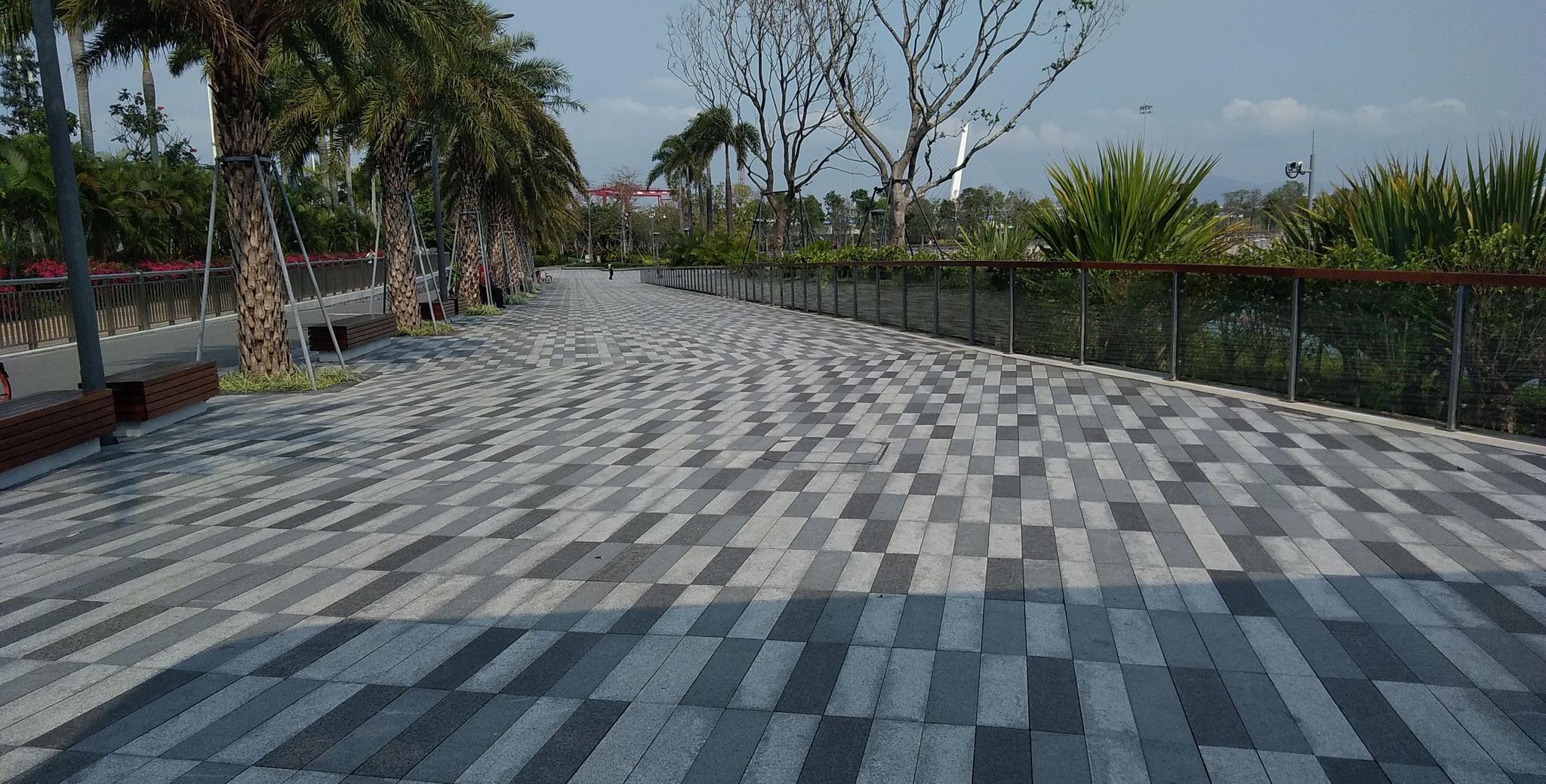 带你们到深圳湾公园的海监广场去看海看船吹海风