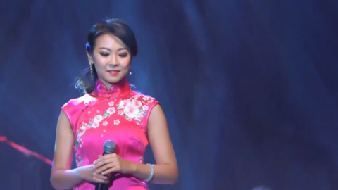 一首经典的闽南语歌曲《难忘的初恋情人》女歌手陈佳演唱得好听