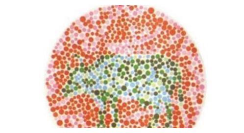 驾考体检前自测:若无法辨认这张图里的动物,趁早放弃驾考念头