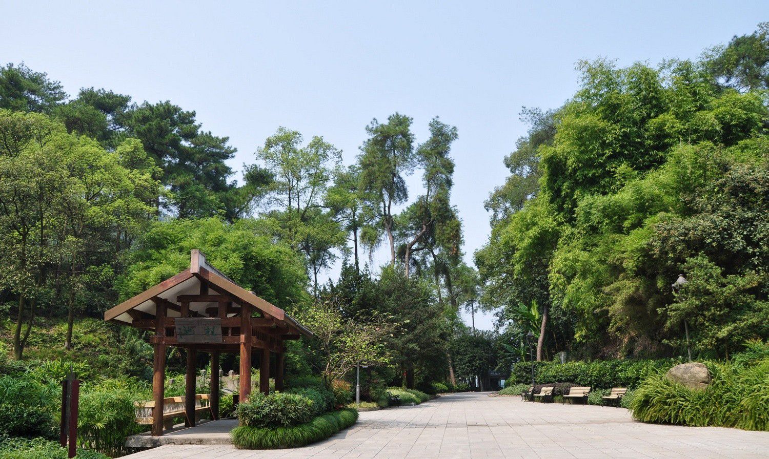 重庆南山植物园风景实拍|南山植物园|实拍|重庆_新浪新闻