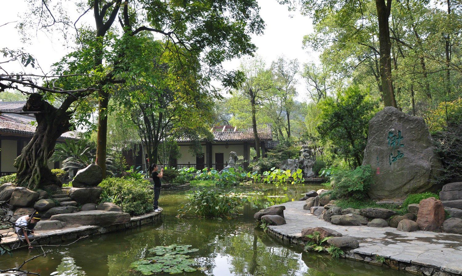 【携程攻略】武汉武汉植物园景点,武汉植物园，这个季节去是最美丽的，各种鲜花竞相开放，争奇斗艳。一…