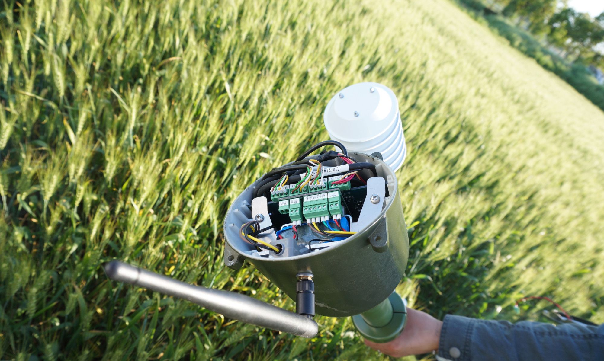 怎么采集几分钟