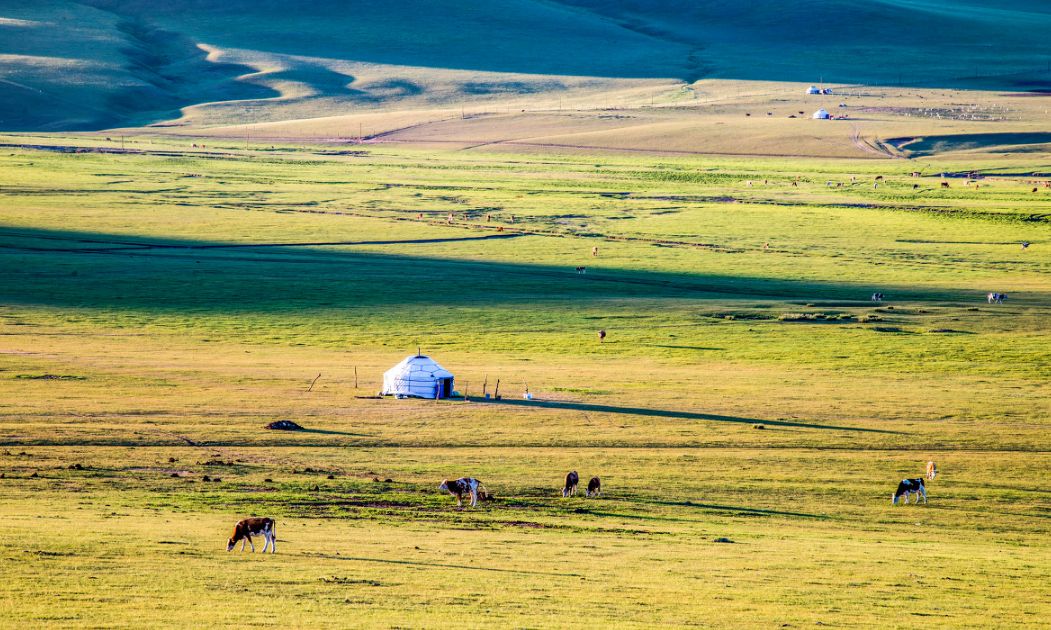 内蒙古大草原在我的镜头下真的好美