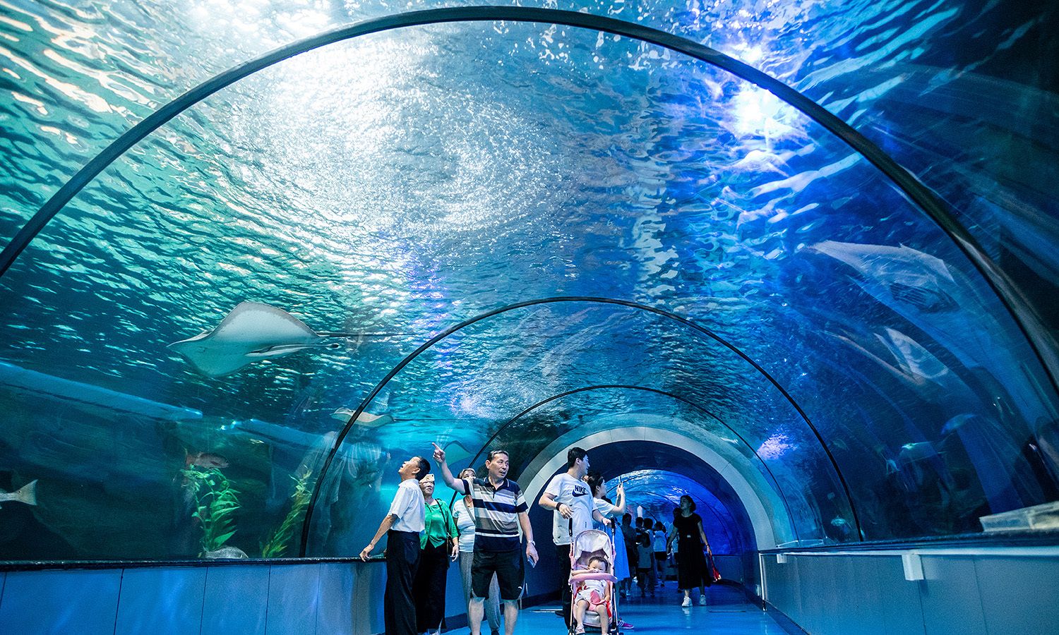 周末游泉城海洋极地世界,看美人鱼表演,竟还有世界之最!