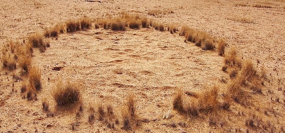 SEO故事搞笑推荐夏天