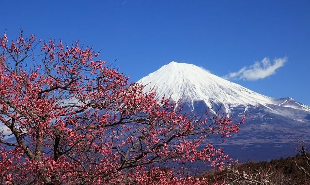 富士山天气多变闻名世界 第一次来就能看到富士山的人 很幸运 富士山天气多变闻名世界 第一次来就能看到富士山的人 很幸运