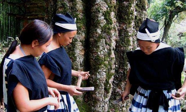 龙泉驿区seo网络推广有效果吗