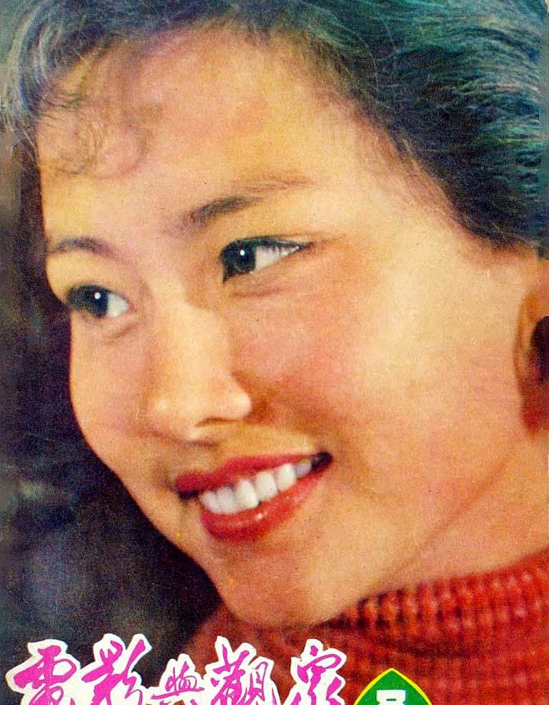 标准的传统美人,曾经红极一时的女星,赵娜15张封面照欣赏
