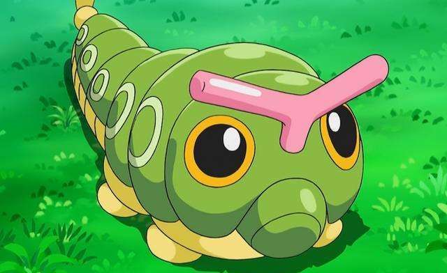「精灵宝可梦」绿毛虫,进化最快的宝可梦