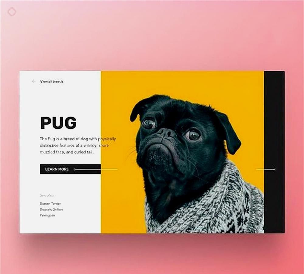 「酒醉说」色彩分割版式网页设计|排版|栅格|文案_新浪新闻