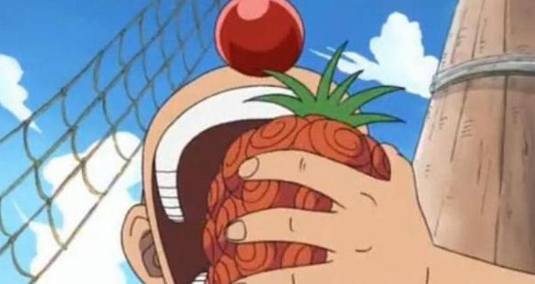 海贼王 已知的四位鸟鸟果实能力者 两位是四皇旗下的干部