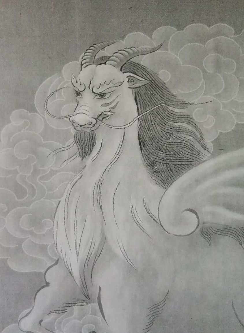 山海经中的白泽被摄影师拍下真实存在通体白色十分神圣