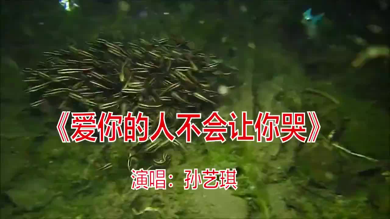 一首好歌分享《爱你的人不会让你哭》旋律优雅分享给大家