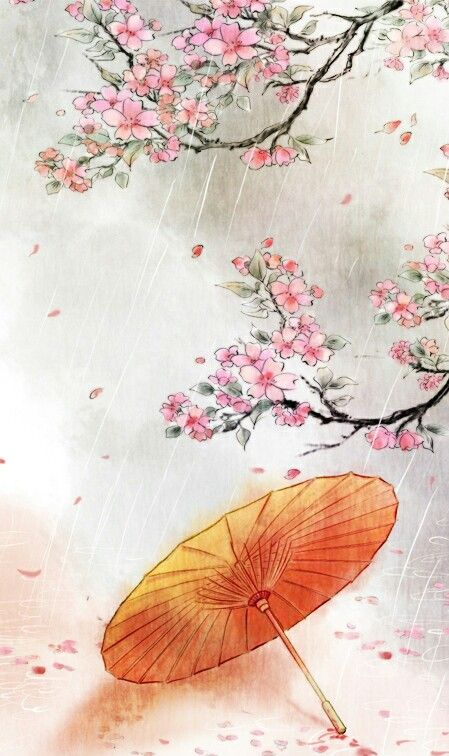 古风二次元美图壁纸,杏花含露团香雪,绿杨陌上多离别!