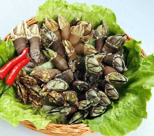 大妈卖海里的"野味",路人看了不敢买,吃货认出后一筐都打包|鸡爪|野味