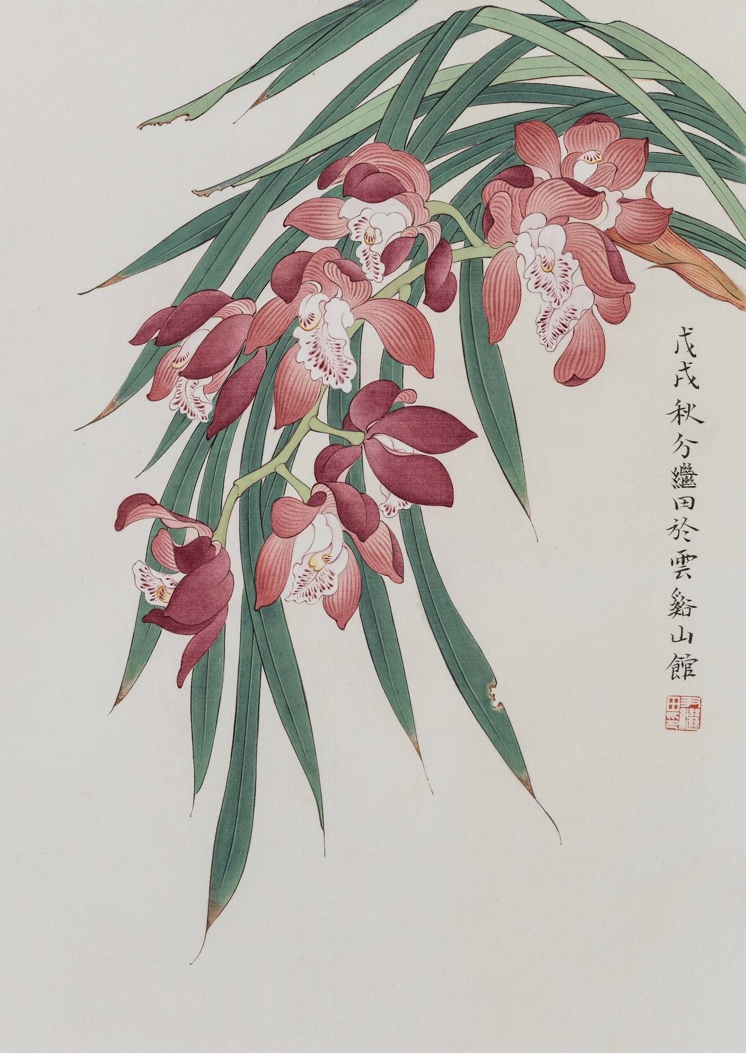 分享几张花鸟工笔画作品看看有没有你画的好