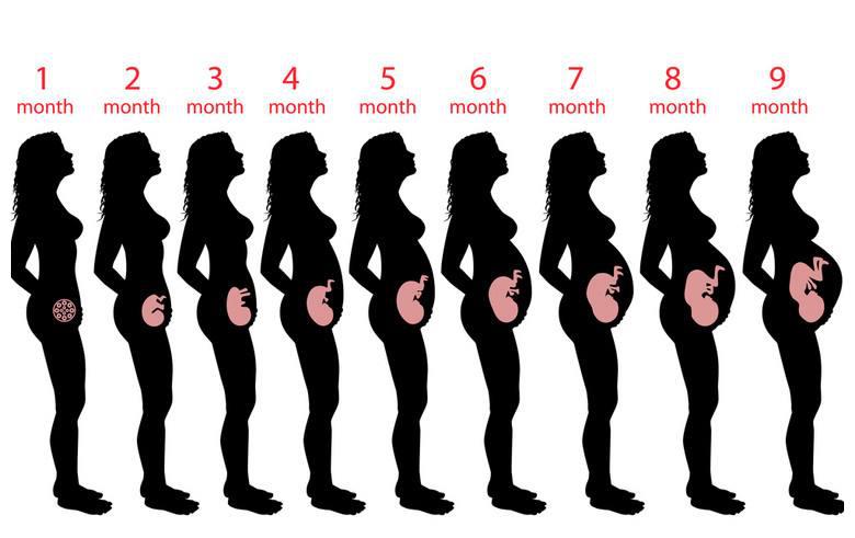 怀孕期显怀好,还是不显怀好?主要由七方面决定