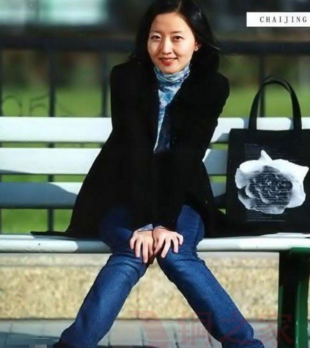 柴静著名的非典前线女记者公知女神