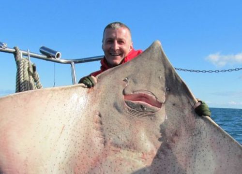 海洋里最可爱的鱼:笑起来像天使一样,但被晒干后却像个恶魔!