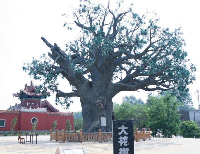 中国古代神话传说中的五大“古神树”,你能认识几个?