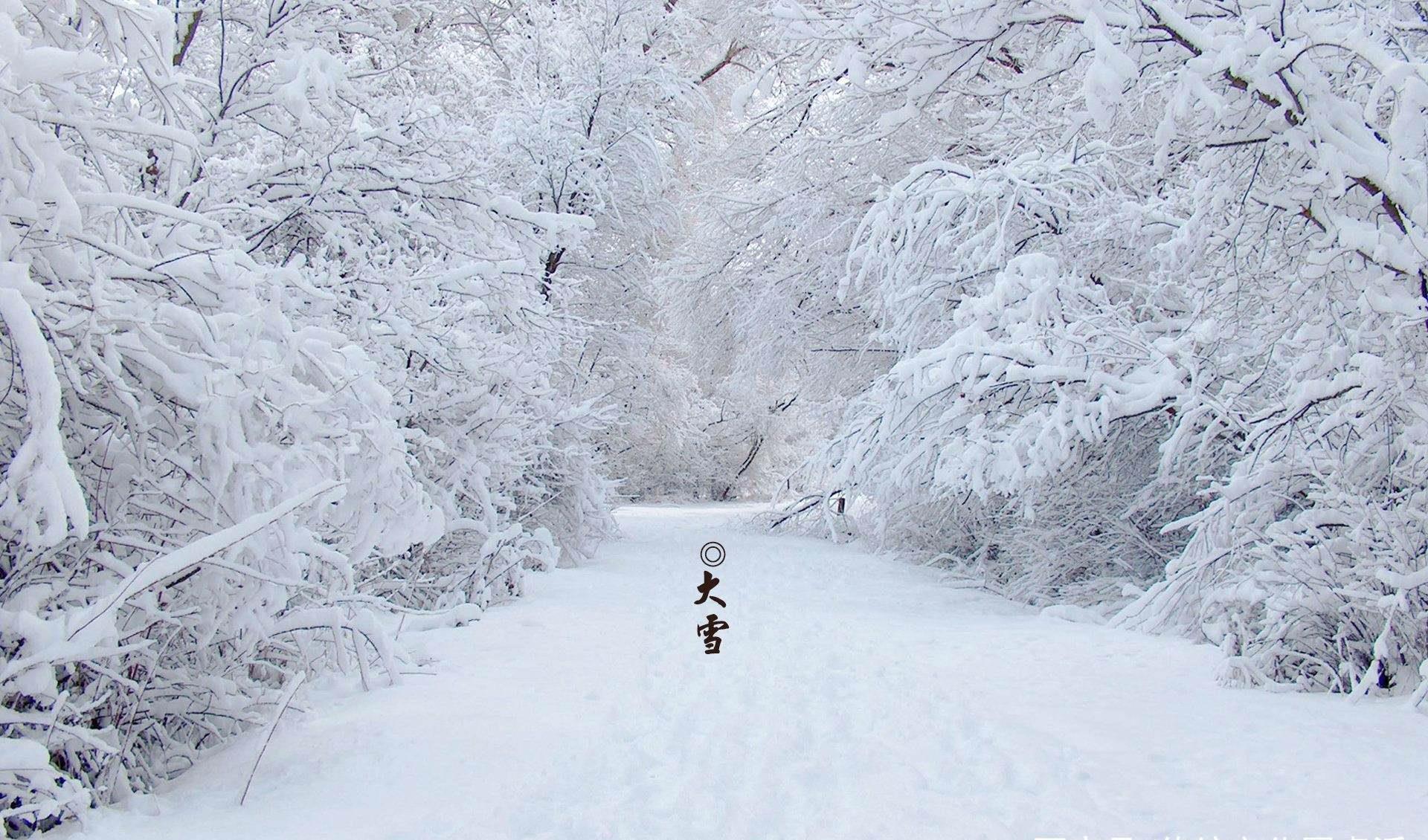 24节气大雪:千里冰封,万里雪飘,"进补"时节