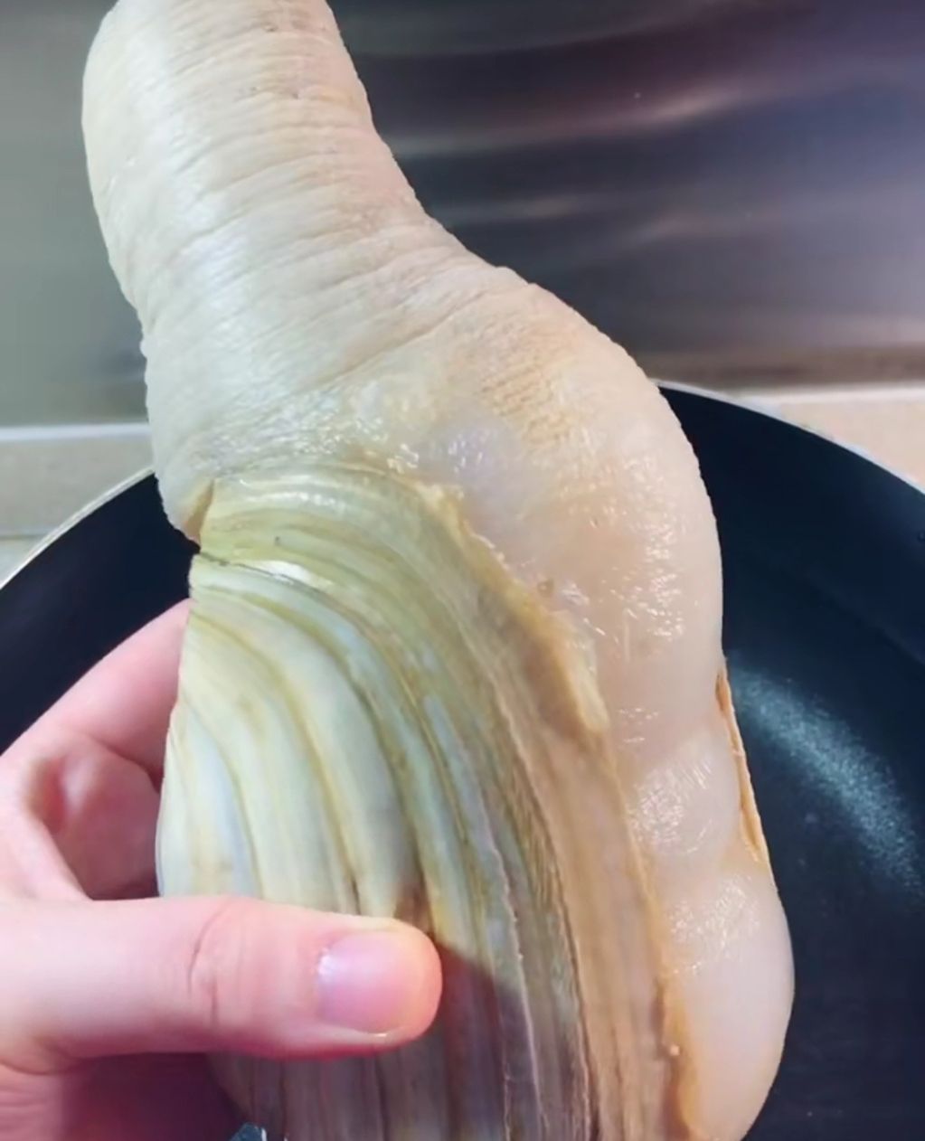 家常版酱爆象拔蚌,做法简单,营养又美味,壮阳壮腰,补肾虚