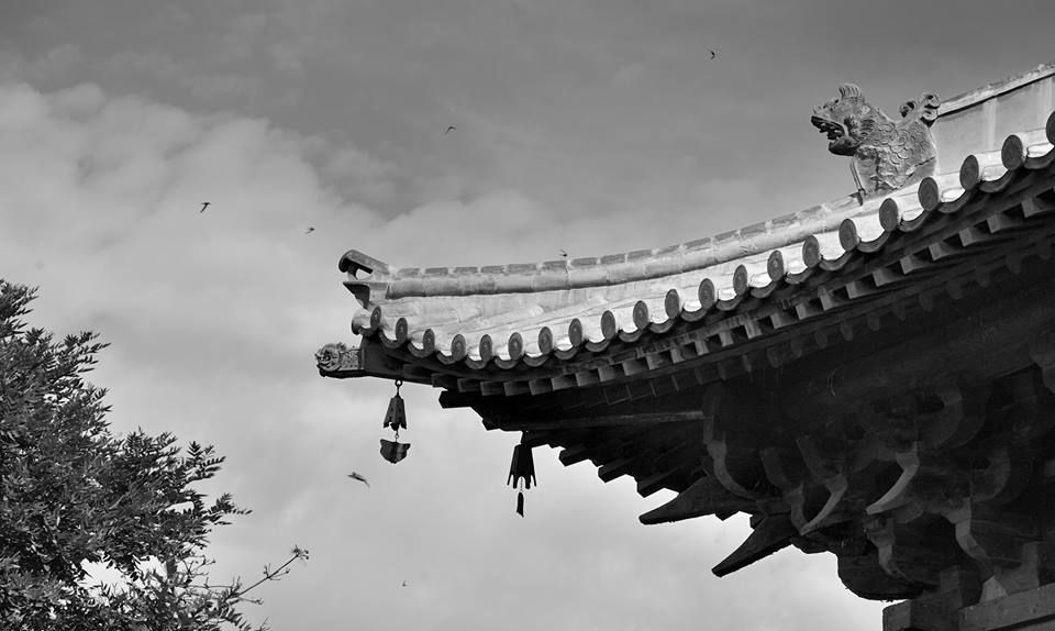 全国重点文物保护单位 山西篇 大同善化寺