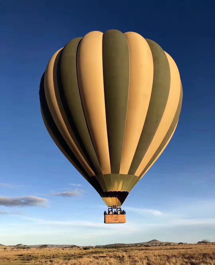 坦桑尼亚大草原上空的热气球,超级刺激的空中safari