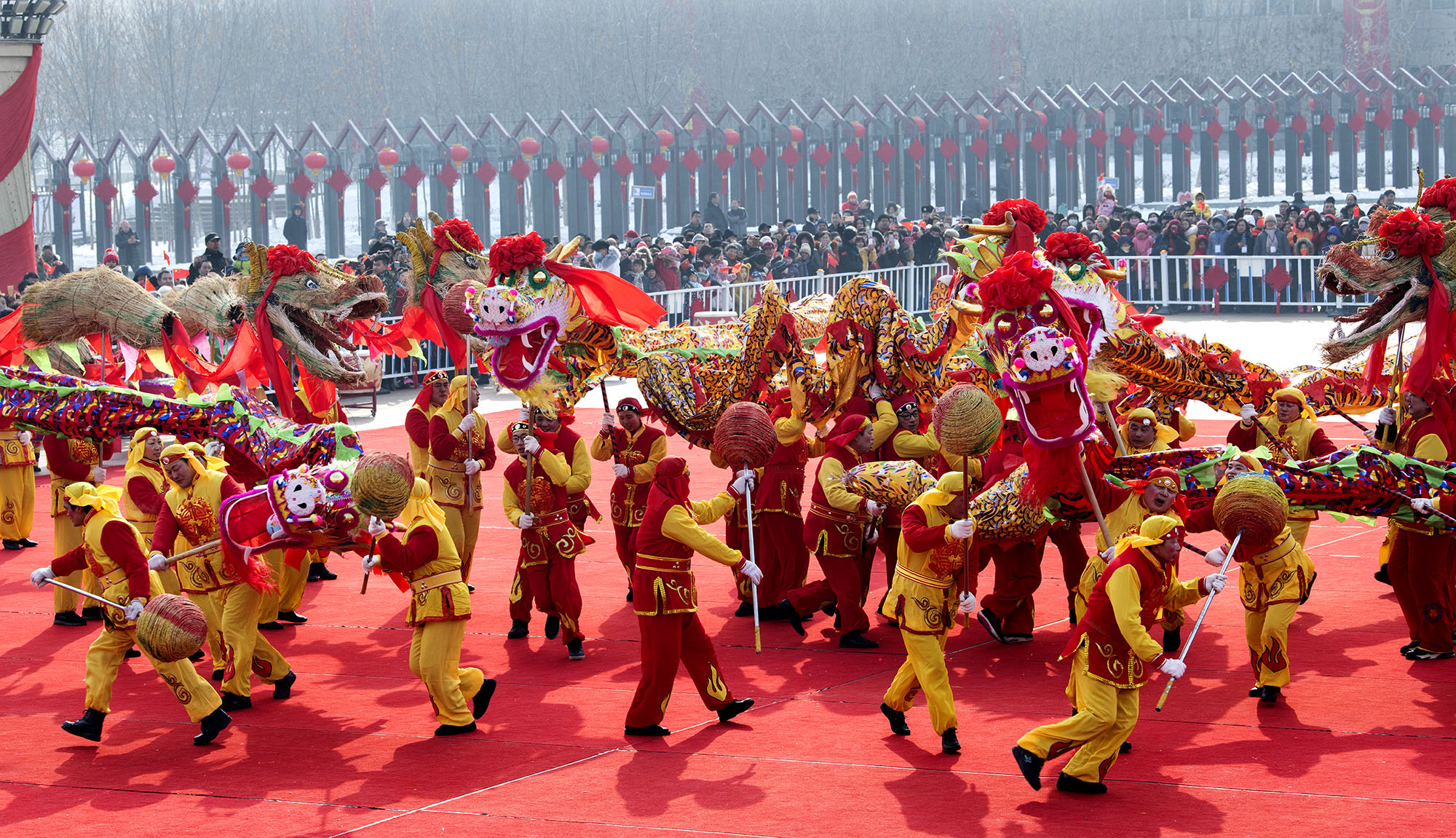 九龙闹春九龙闹春闹社火九龙闹春舞狮子九龙闹春九龙闹春九龙闹春舞