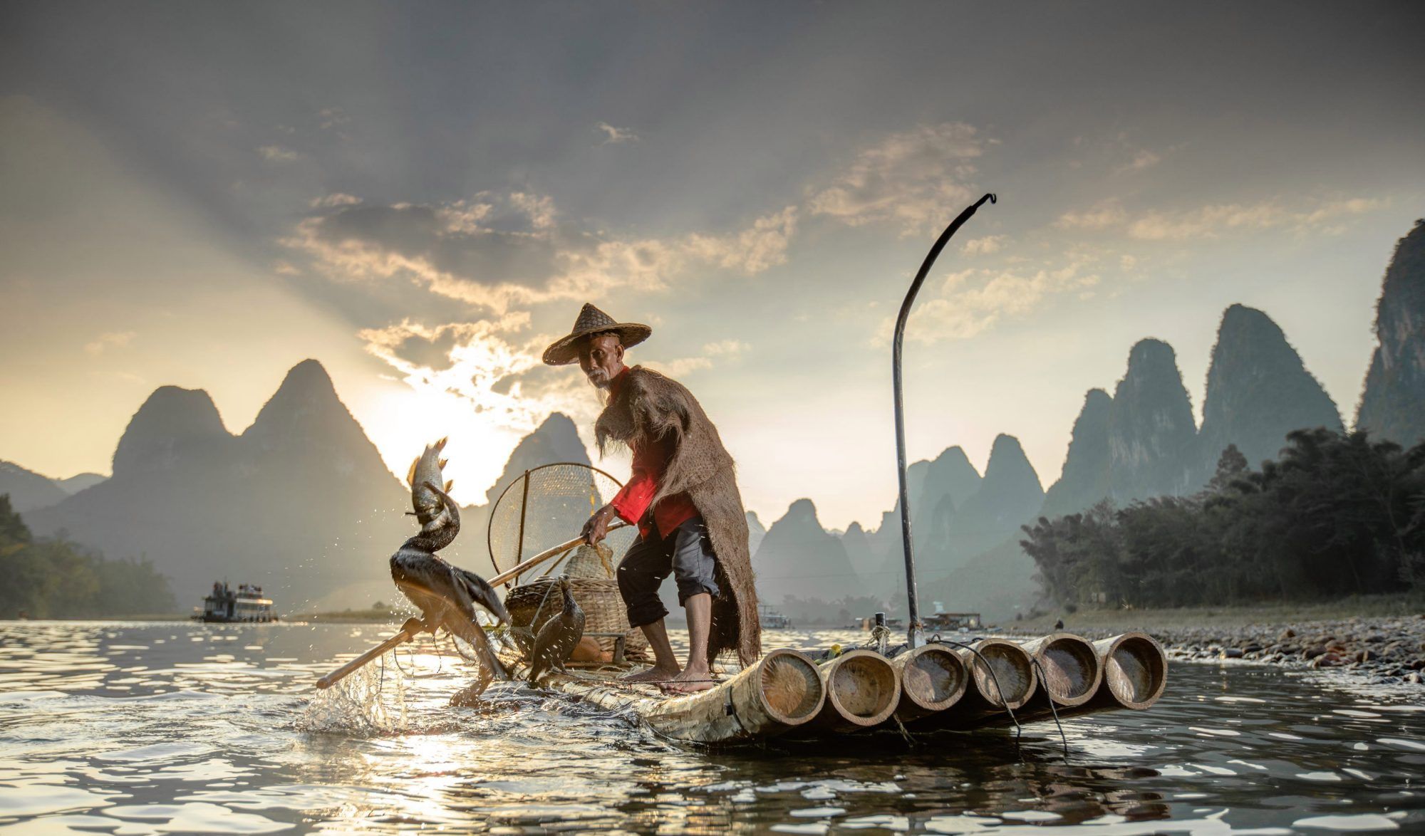 鸬鹚捕鱼的精彩画面,中国古老的捕鱼手艺,如今却面临失传
