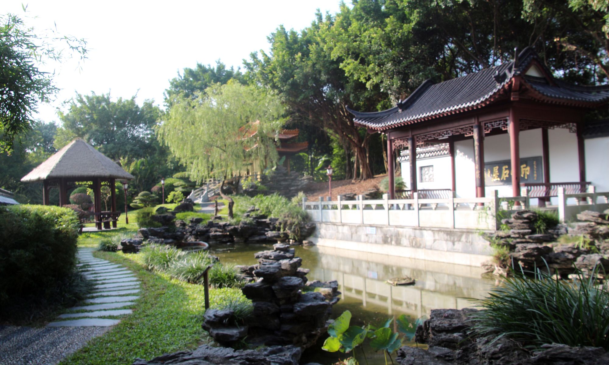 深圳闹市中的静谧之处——园博园,成为市民的休闲之地