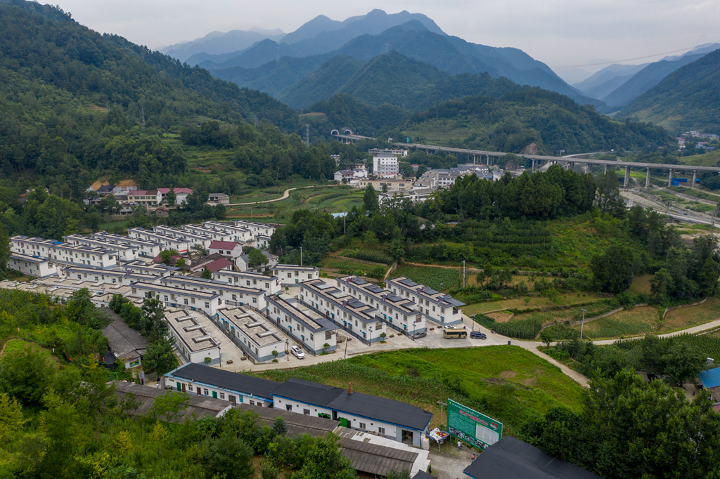 小伙因家穷娶不上媳妇,回村养乌鸡致富,放话要招"压寨夫人"