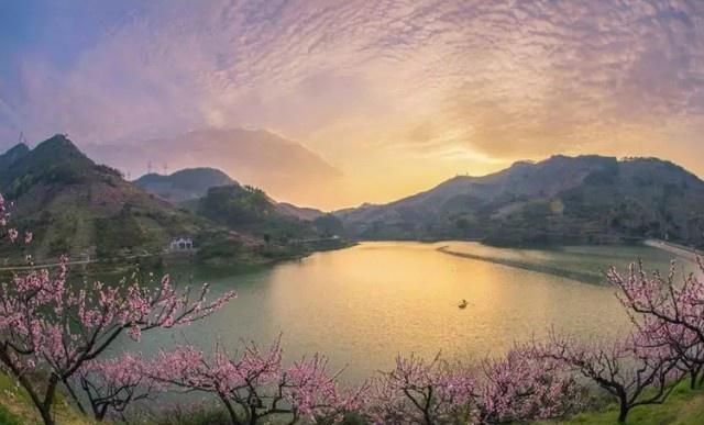 官宣!金东区第九届源东桃花节 定于3月22日(本周五)开幕!