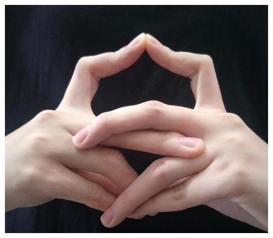 肖战无意间展示的这些高难度手势,你能做到几个?