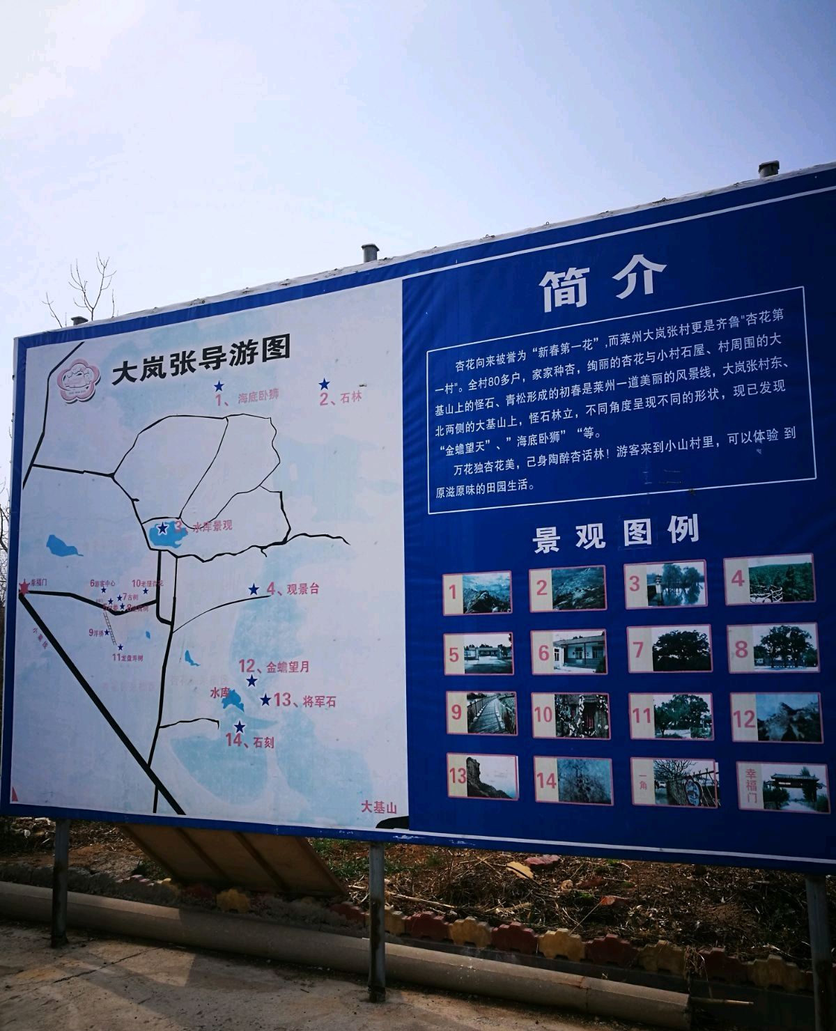 莱州大岚张杏花村杏花开时太美了,你来过吗?