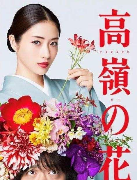 罂粟花是什么样的花 罂粟花的毒性到底如何