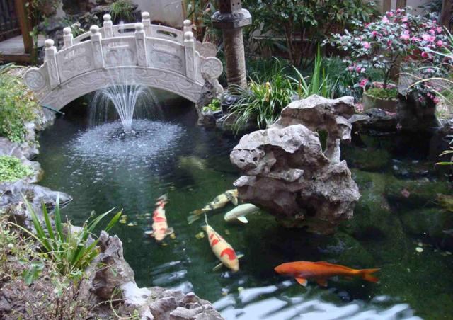 养鱼不确信非要鱼缸,在庭院挖她刘海长短有致,带着些微的弧度