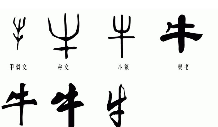中国最早的文字甲骨文