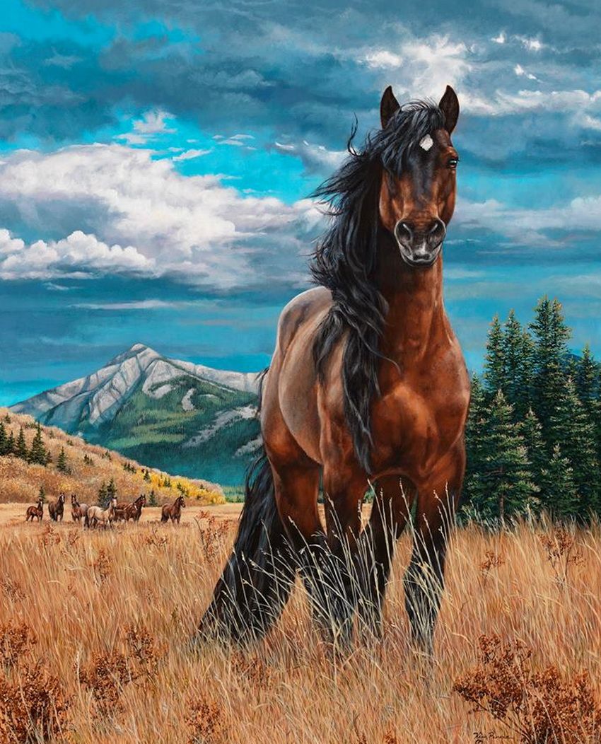 插画艺术家kimpenner作品马