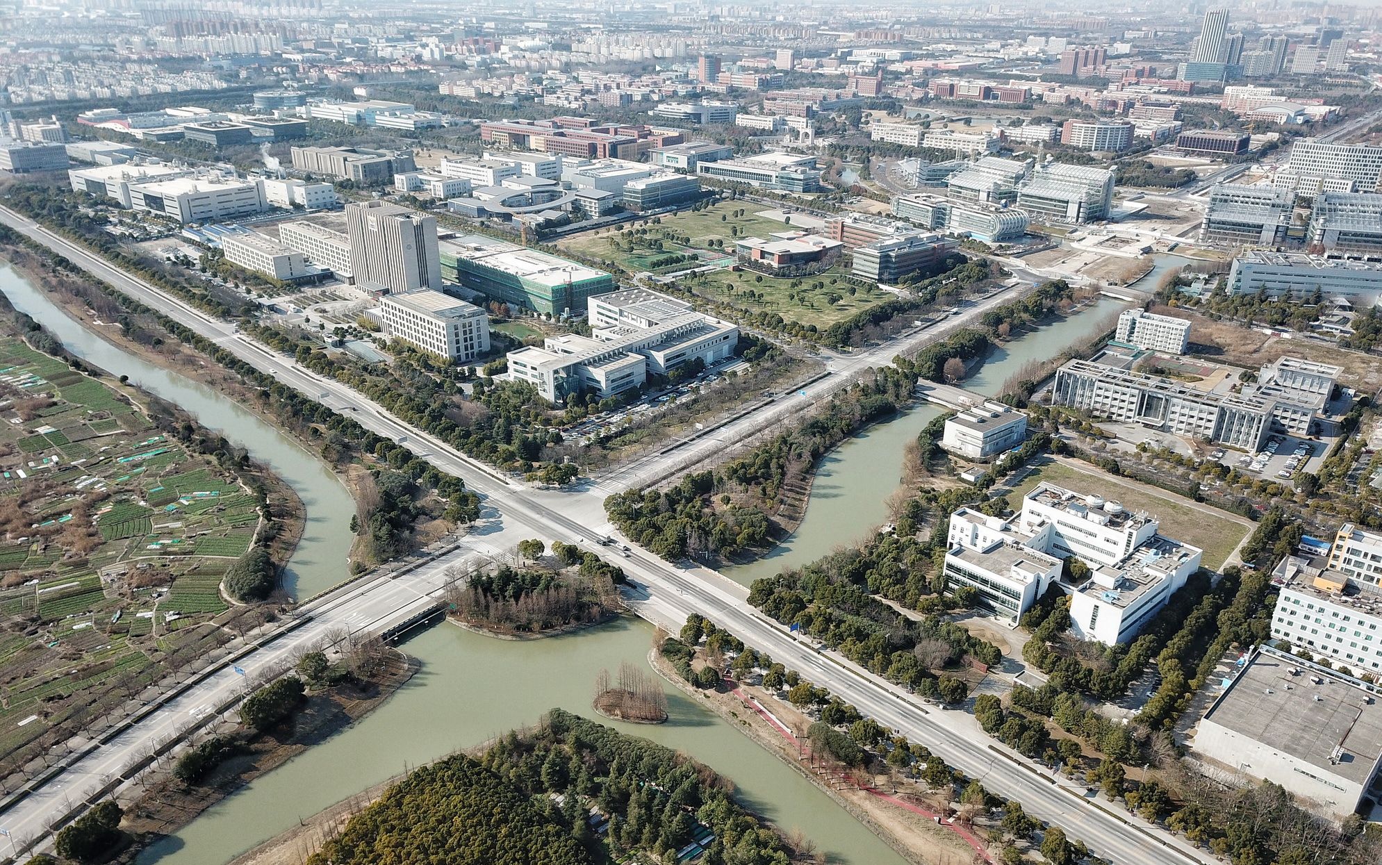 乡土上海:这座江畔小镇记住乡愁 更是依靠科技时尚争上游|产业链|吴泾