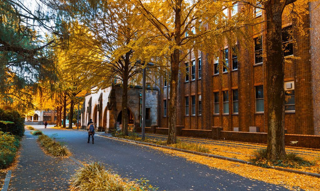 日本大学校园
