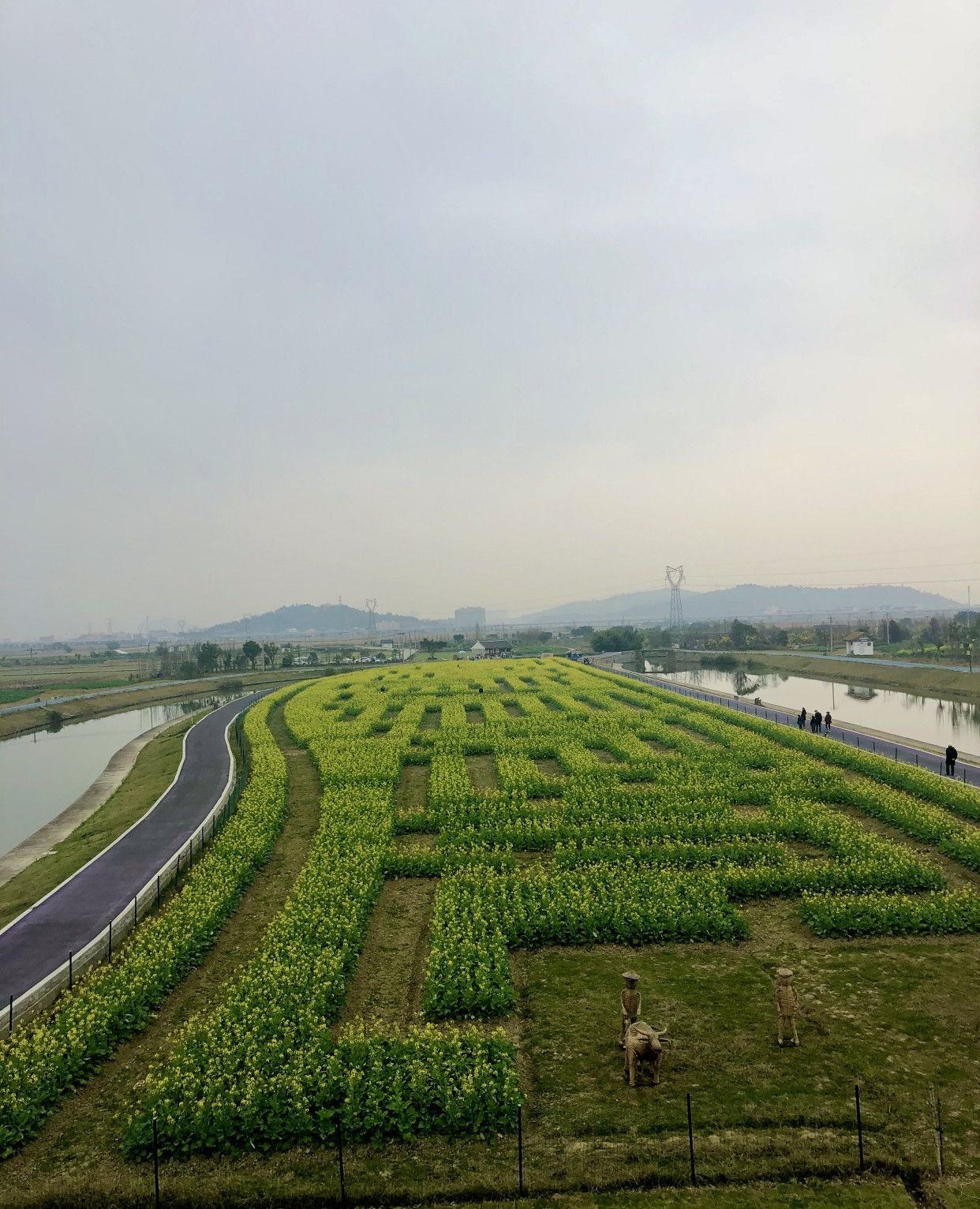 瑞安马屿曹村田园风光2