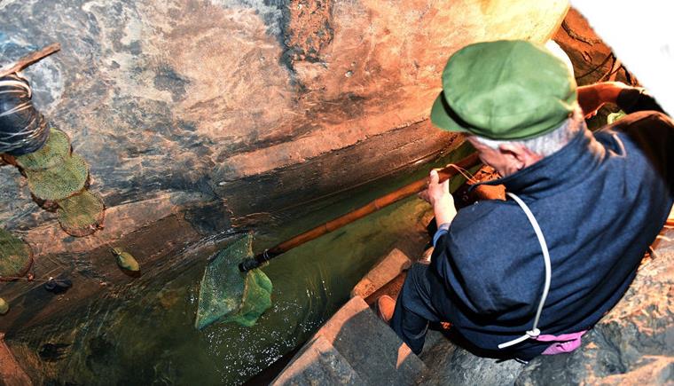 巫溪一农户家中挖出"神秘鱼泉",每次都能涌出百斤河鱼