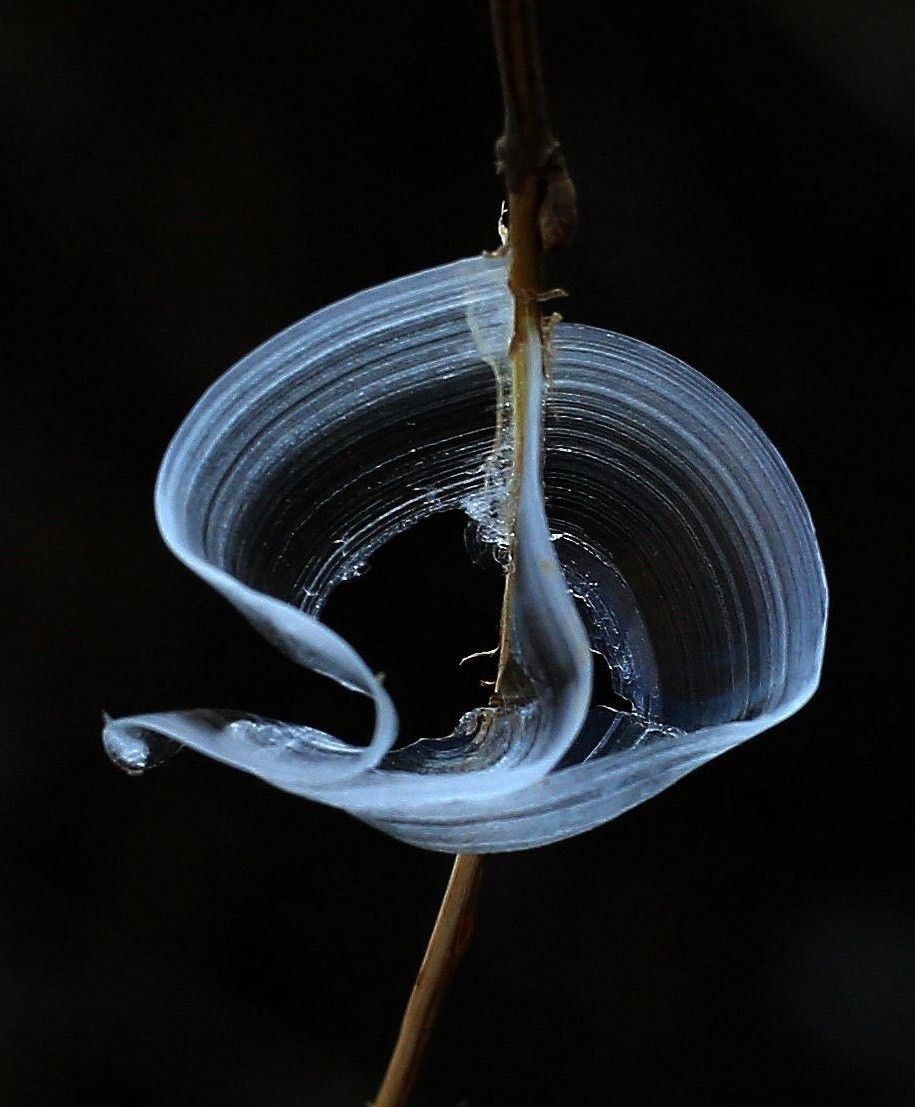 山西侯马冰蝴蝶美景_高清图集_新浪网