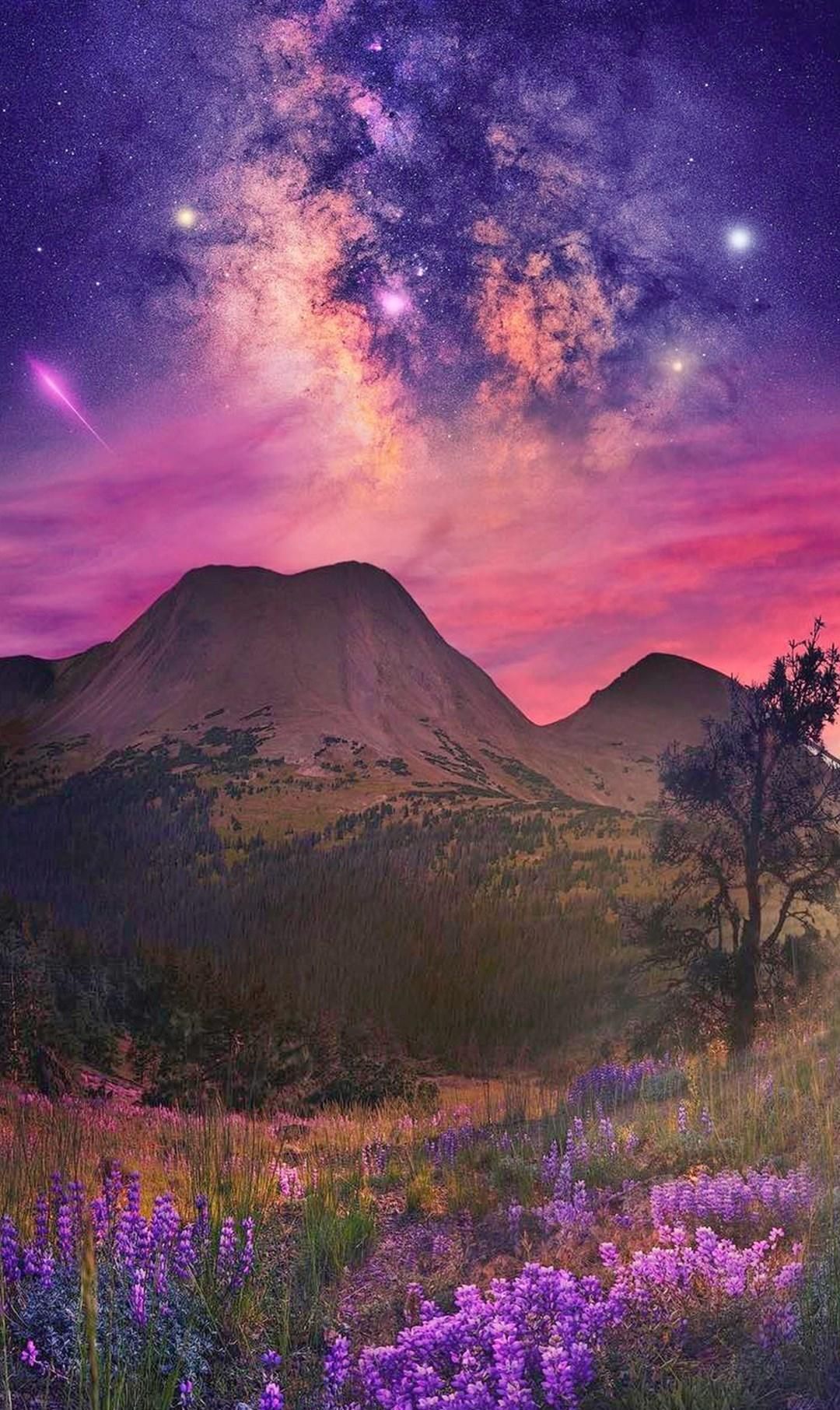 有哪些关于春天的优美句子