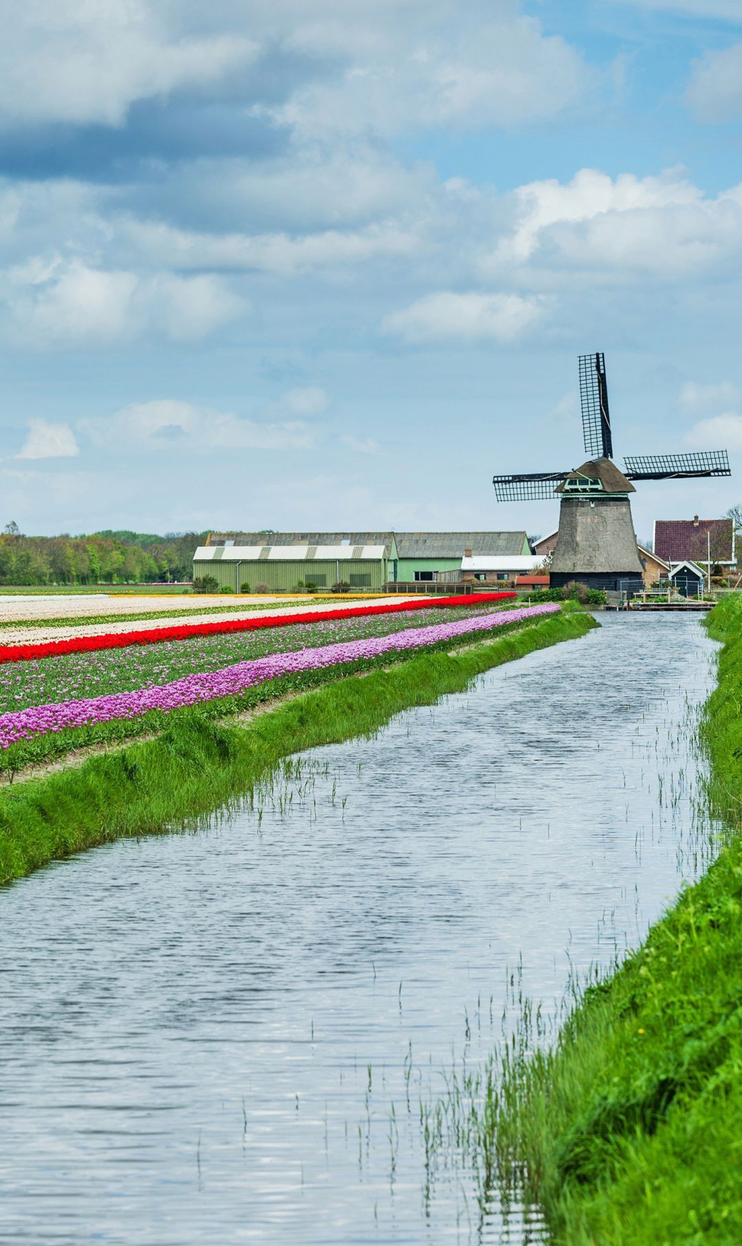 一组风车壁纸,喜欢点赞关注吧.