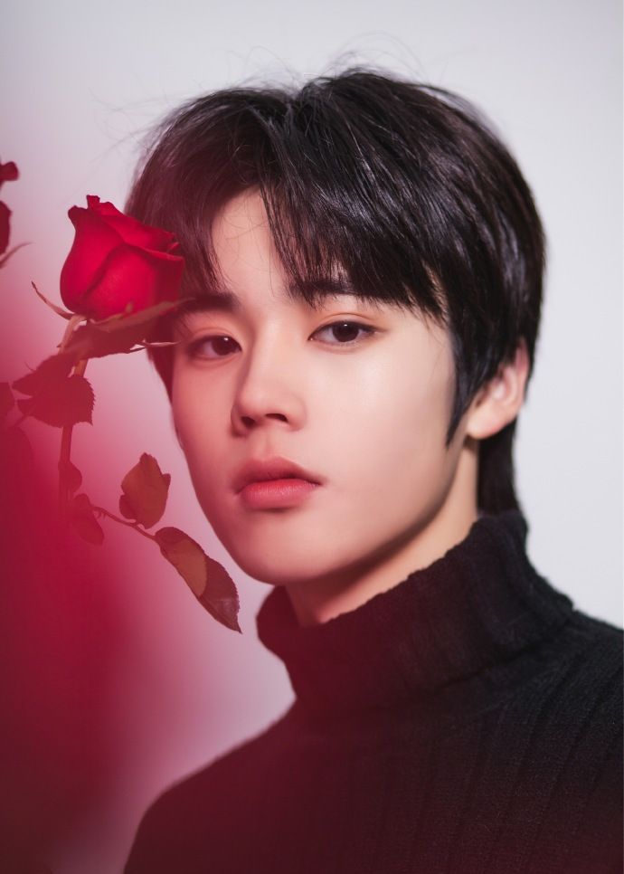 该歌曲由丁彦雪作词,江潮作曲,著名制作人曲世聪操刀制.