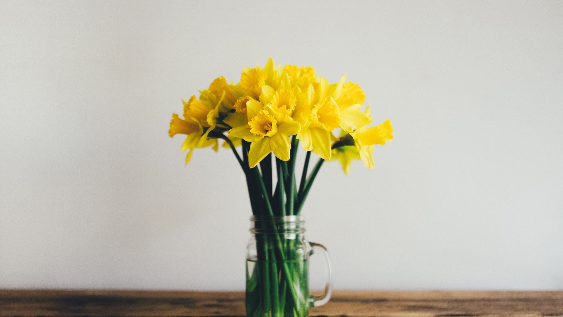 文艺插花图片高清电脑桌面壁纸分辨率1920x1200