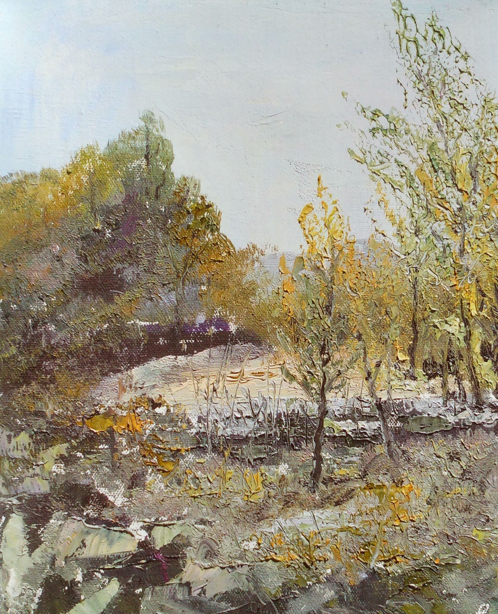 山水同怀,万象有蕴|李春华油画鉴赏(一)