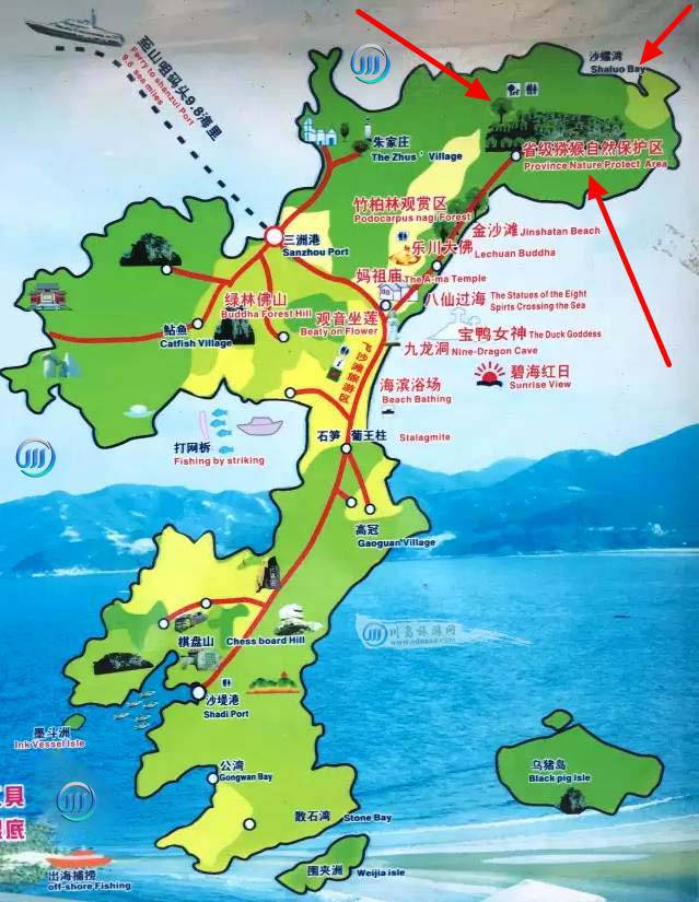 廣東十大最美森林台山上川島獼猴省級自然保護區